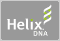 Helix DNA