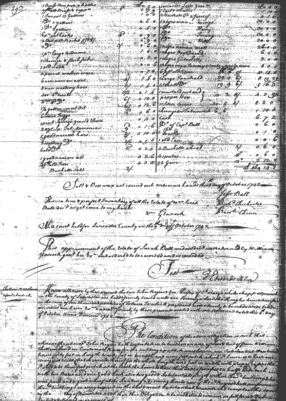 Image for Ball, Sarah, page 293