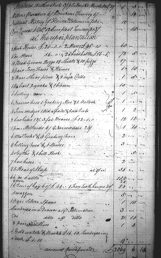 Image for Custis, John Parke, page 285