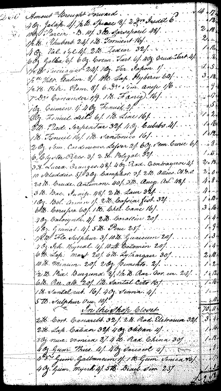 Image for Flood, Nicholas, page 260