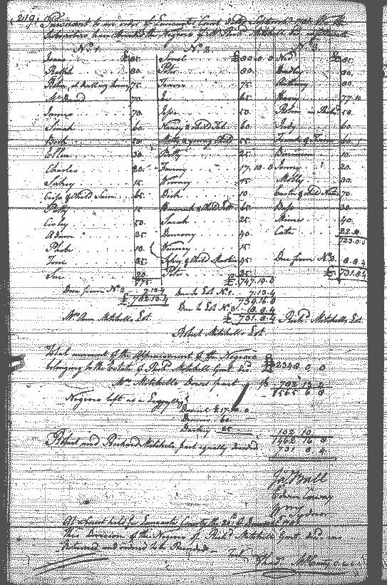 Image for Mitchell, Richard, page 219